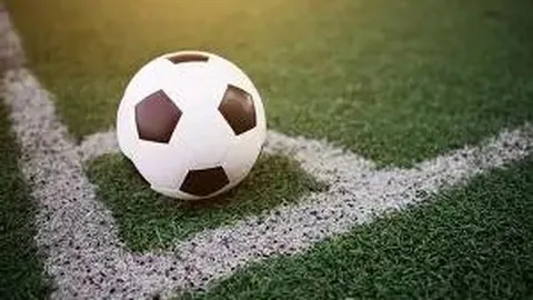 国富黄金：成长轨迹