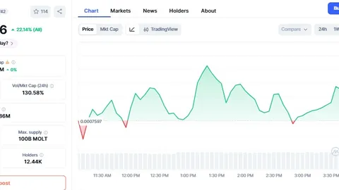 李楠道歉：世界杯目标未达成，我负主要责任
