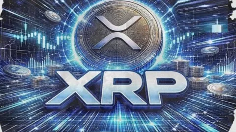 2025赛季CBA第5轮战果及球队最新排名揭晓