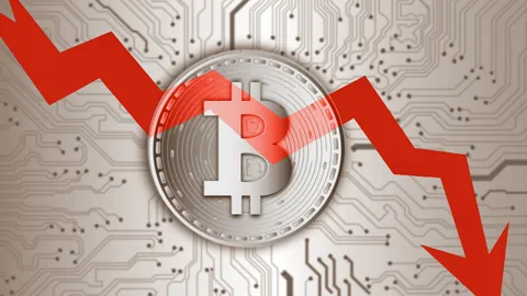 江宏杰携3岁幼女亲自接送，福原爱继续留日深造