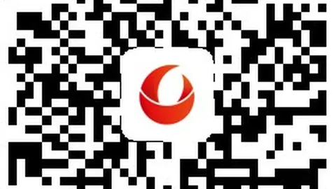 终极指南便捷支付：探索勿忘我花的种植与养护秘诀